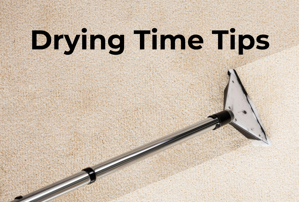 The Essential Guide to Carpet Drying Times